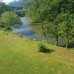 Sam Jajce