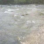 Nyaraló Sam